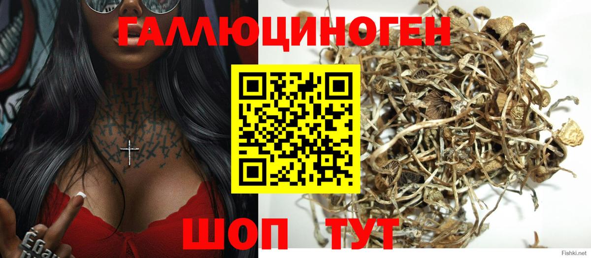 Псилоцибиновые грибы ЛСД Гатчина