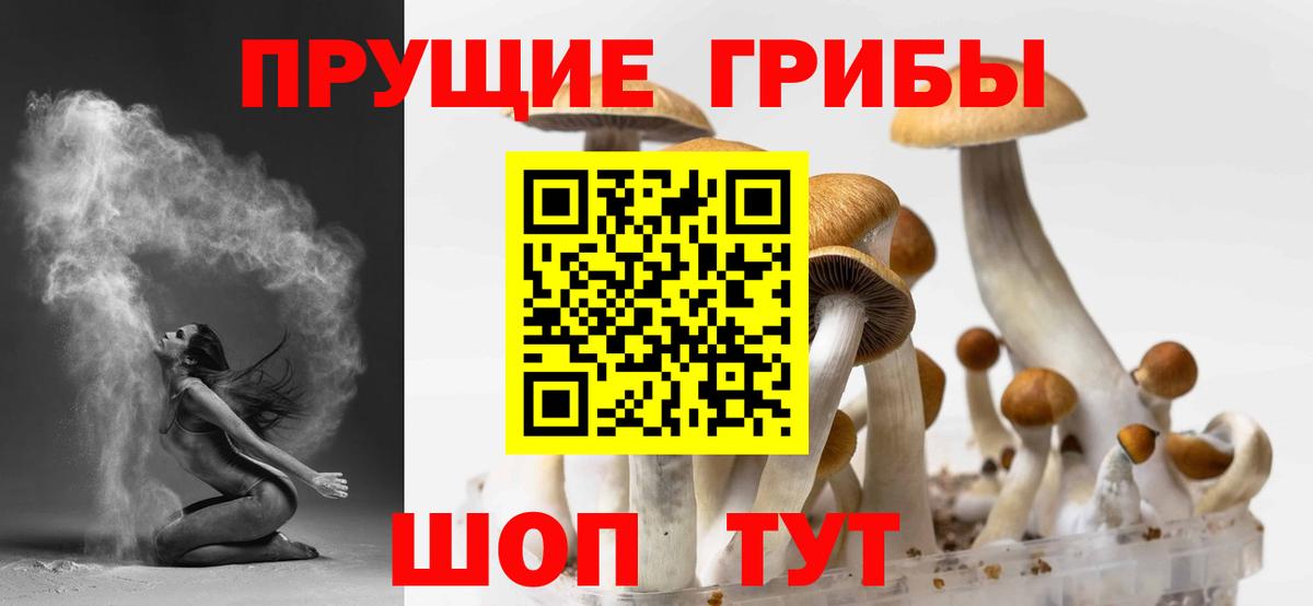 Галлюциногенные грибы мухоморы  Вход с VPN  Гатчина 